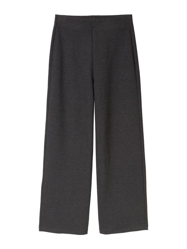 TOM TAILOR DENIM TOM TAILOR DENIM Hlače  tamo siva