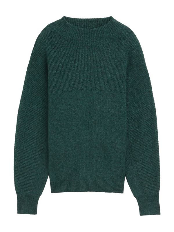 TOM TAILOR DENIM TOM TAILOR DENIM Pulover  kraljevski zelena