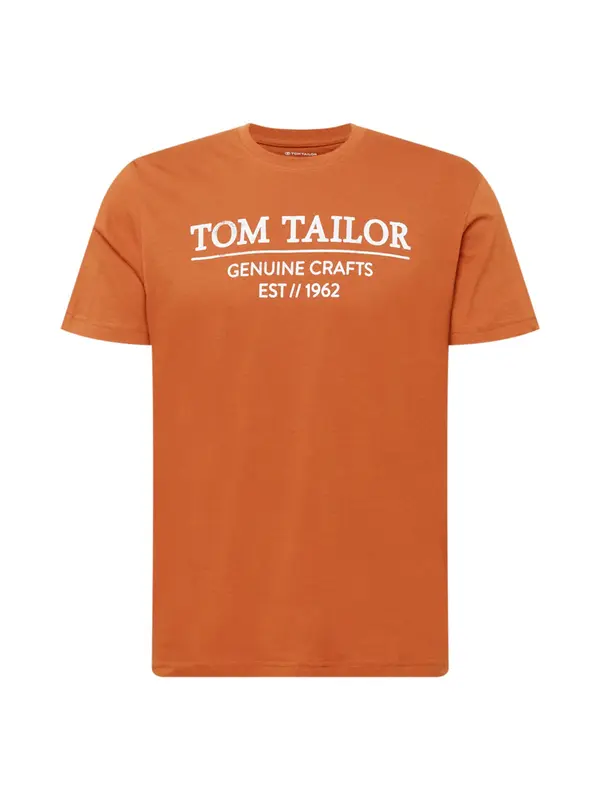 TOM TAILOR TOM TAILOR Majica  hrđavo smeđa / bijela
