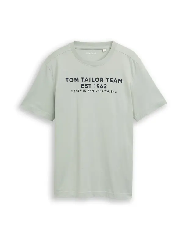 Tom Tailor TOM TAILOR Majica  kameno siva / crna