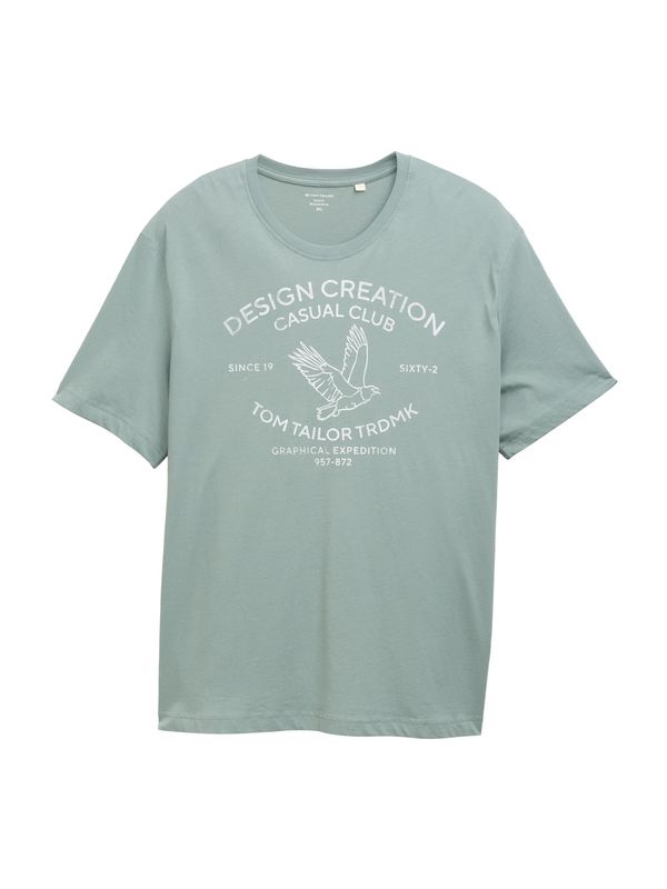 TOM TAILOR Men + TOM TAILOR Men + Majica  pastelno zelena / bijela