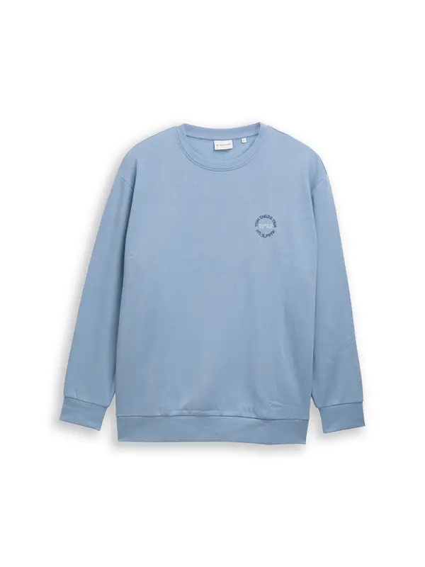 Tom Tailor TOM TAILOR Men + Sweater majica  mornarsko plava / svijetloplava / bijela