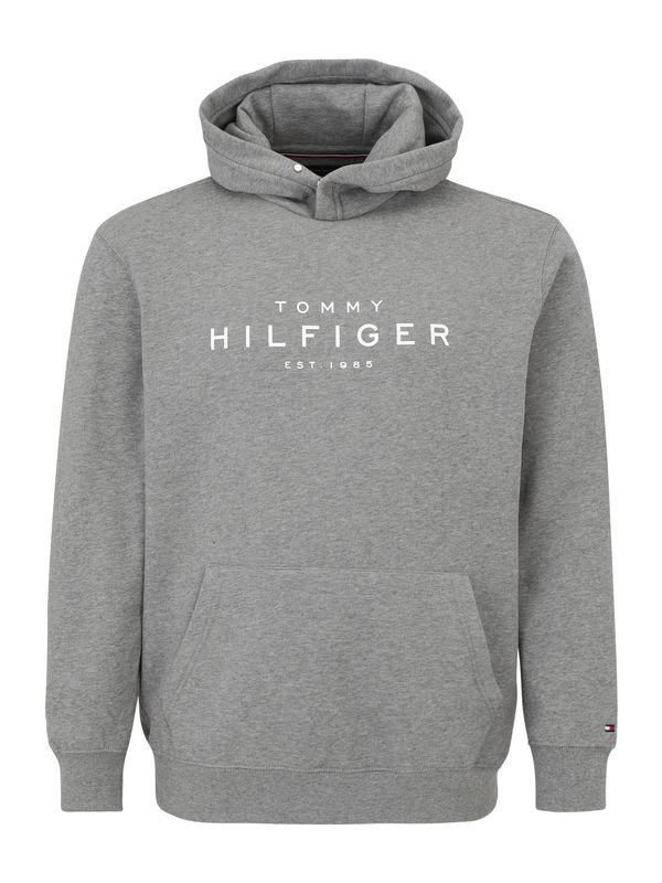 Tommy Hilfiger Big & Tall Tommy Hilfiger Big & Tall Sweater majica  siva / bijela