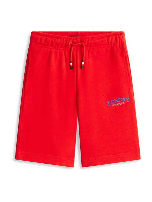 TOMMY HILFIGER TOMMY HILFIGER Hlače  plava / crvena / bijela