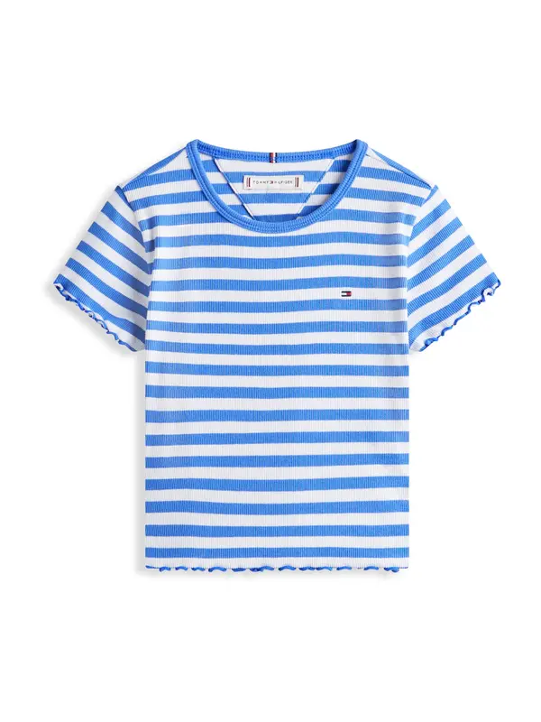 TOMMY HILFIGER TOMMY HILFIGER Majica 'ESSENTIAL'  plava / bijela