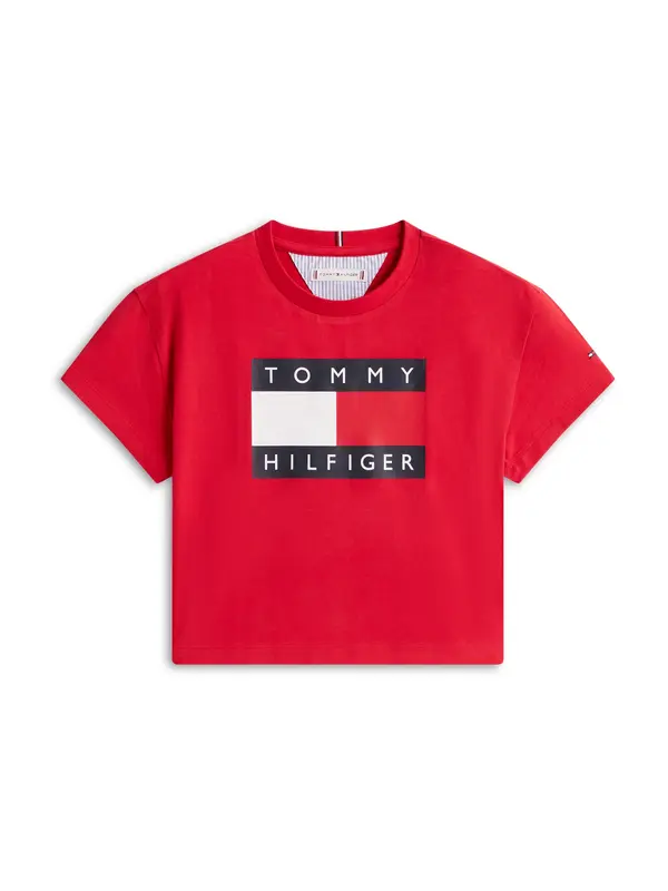 TOMMY HILFIGER TOMMY HILFIGER Majica 'HERITAGE'  morsko plava / crvena / bijela