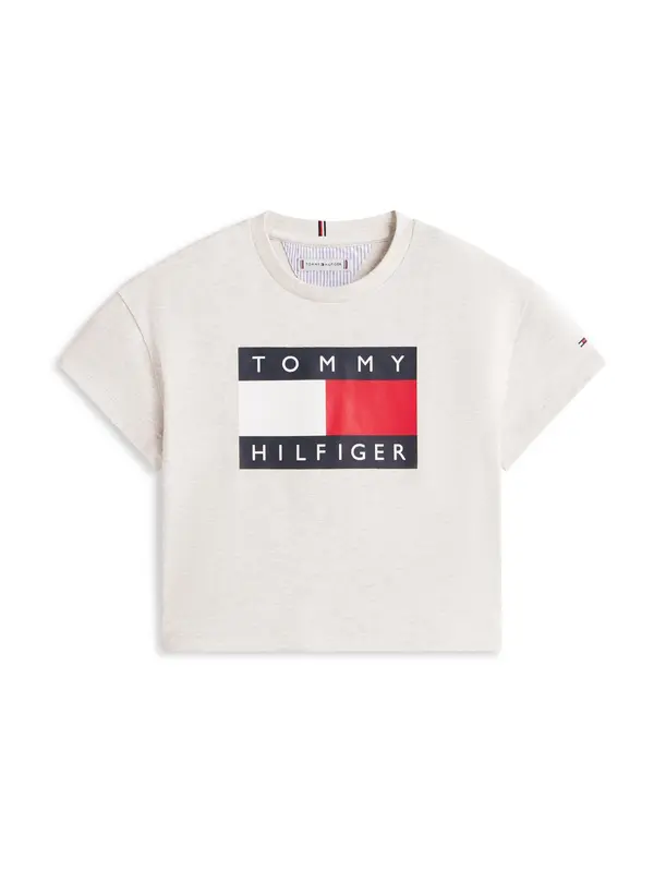 TOMMY HILFIGER TOMMY HILFIGER Majica 'Heritage'  morsko plava / siva melange / crvena / bijela
