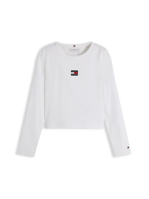 TOMMY HILFIGER TOMMY HILFIGER Majica 'HERITAGE'  tamno plava / svijetlo crvena / bijela