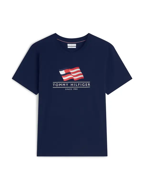 TOMMY HILFIGER TOMMY HILFIGER Majica 'MAIN FLAG'  plava / crvena