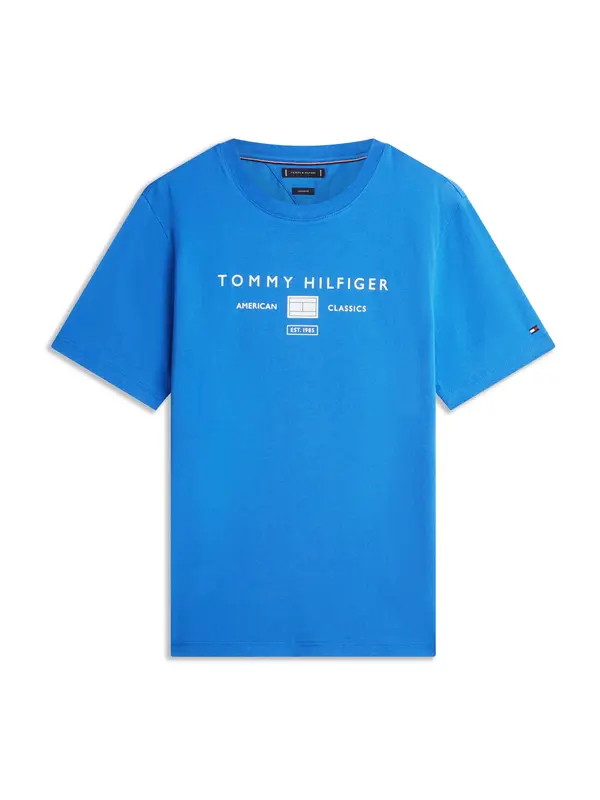 TOMMY HILFIGER TOMMY HILFIGER Majica  plava / bijela