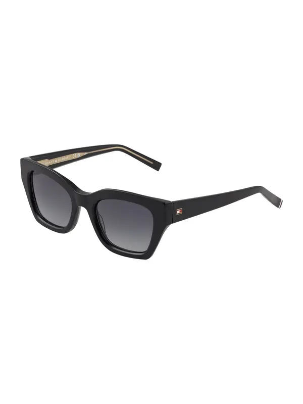 TOMMY HILFIGER TOMMY HILFIGER Sunčane naočale '2264/S'  zlatna / crna