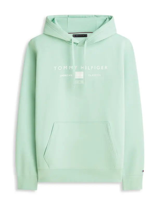 TOMMY HILFIGER TOMMY HILFIGER Sweater majica 'BRAND LOVE'  svijetlozelena / bijela