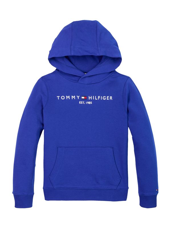 TOMMY HILFIGER TOMMY HILFIGER Sweater majica 'ESSENTIAL'  mornarsko plava / crvena / bijela