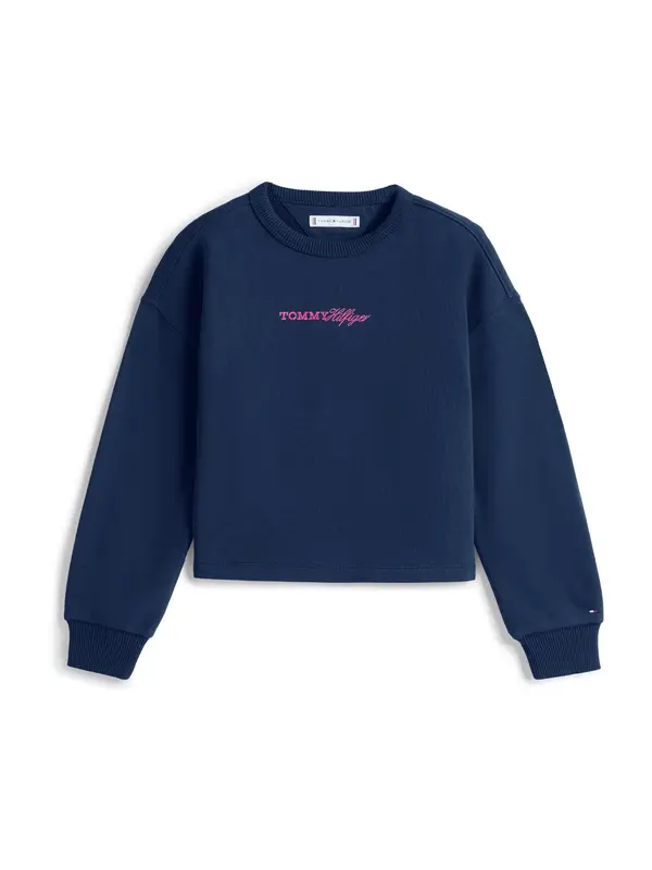 TOMMY HILFIGER TOMMY HILFIGER Sweater majica  mornarsko plava / roza
