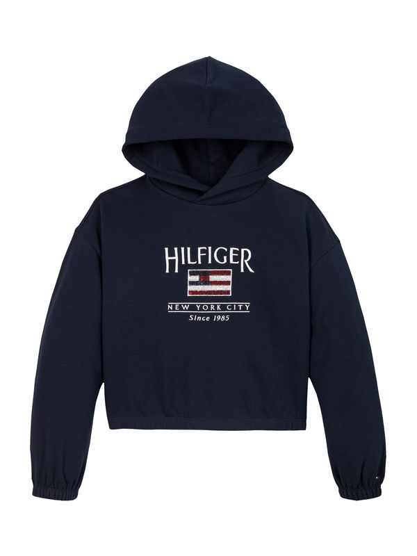 TOMMY HILFIGER TOMMY HILFIGER Sweater majica  mornarsko plava / rubin crvena / bijela
