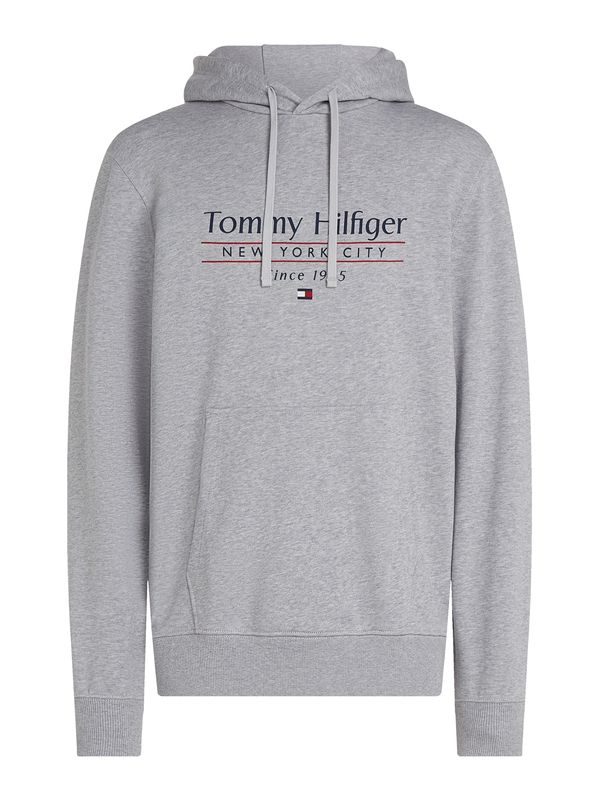 TOMMY HILFIGER TOMMY HILFIGER Sweater majica  mornarsko plava / siva / tamno crvena