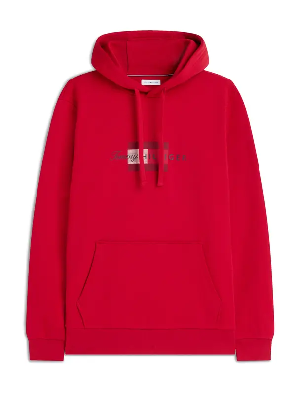 TOMMY HILFIGER TOMMY HILFIGER Sweater majica 'SCRIPT'  crvena