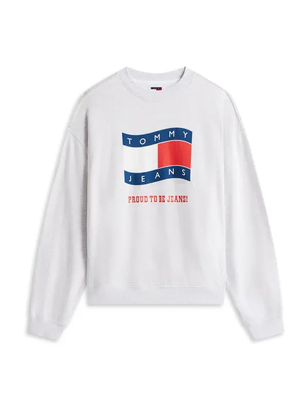 Tommy Jeans Tommy Jeans Sweater majica '90S'  plava / siva / crvena / bijela
