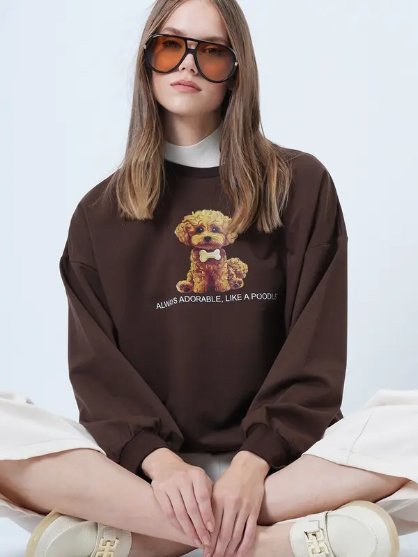 Trend Alaçatı Stili Trend Alaçatı Stili Sweater majica  boja devine dlake (camel) / smeđa / bijela