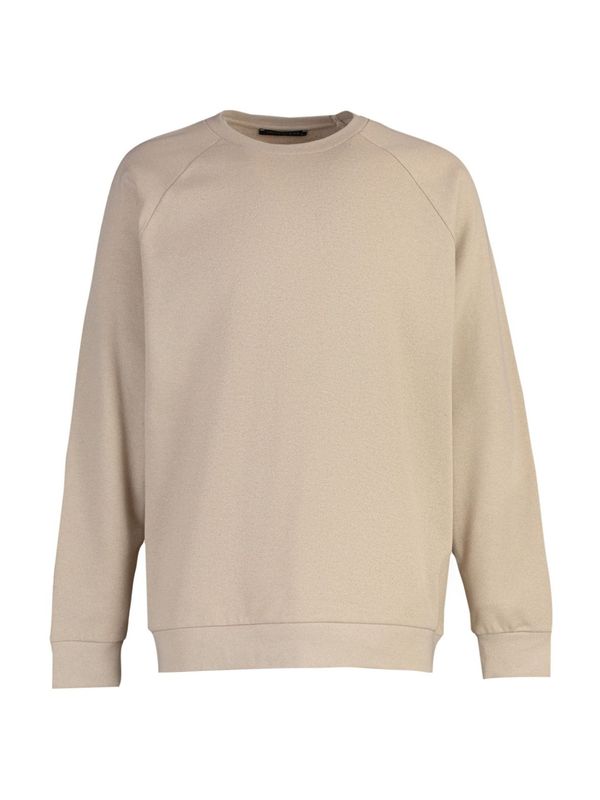 Trendyol Trendyol Sweater majica  bež