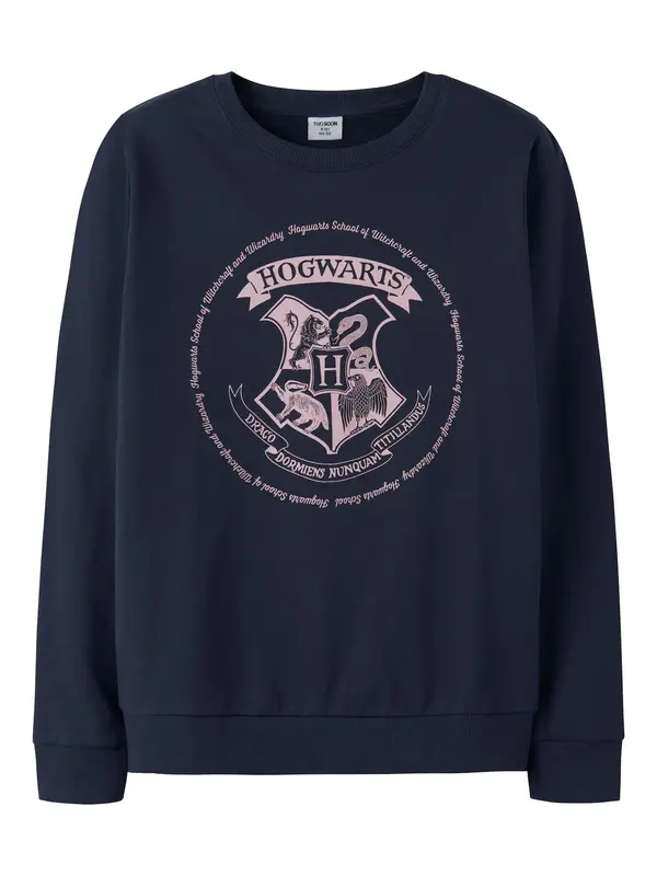 TWO SOON TWO SOON Sweater majica 'Harry Potter'  plava / roza