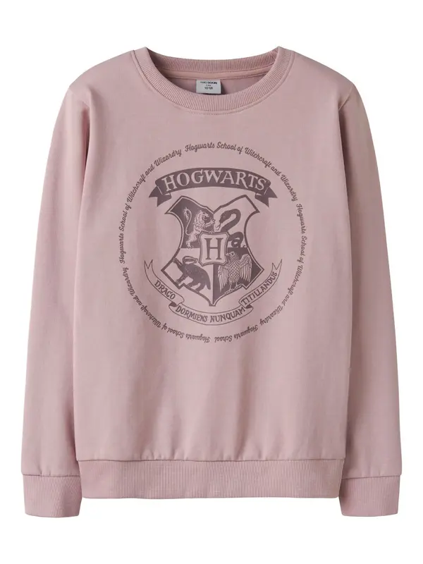TWO SOON TWO SOON Sweater majica 'Harry Potter'  prljavo roza / crna