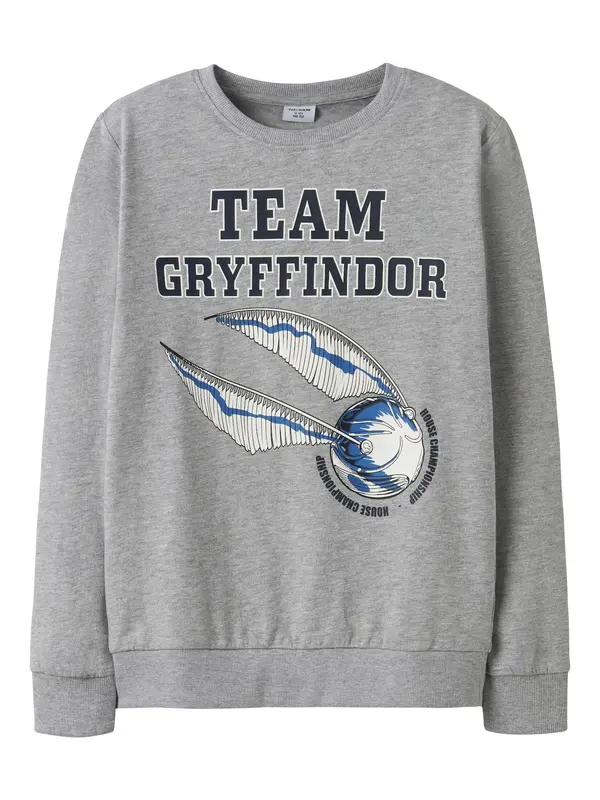 TWO SOON TWO SOON Sweater majica 'Harry Potter'  siva / miks boja