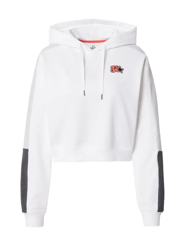 UNDER ARMOUR UNDER ARMOUR Sportska sweater majica 'Terry'  antracit siva / svijetlosiva / bijela