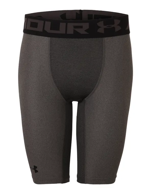 UNDER ARMOUR UNDER ARMOUR Sportske hlače  boja blata / tamo siva