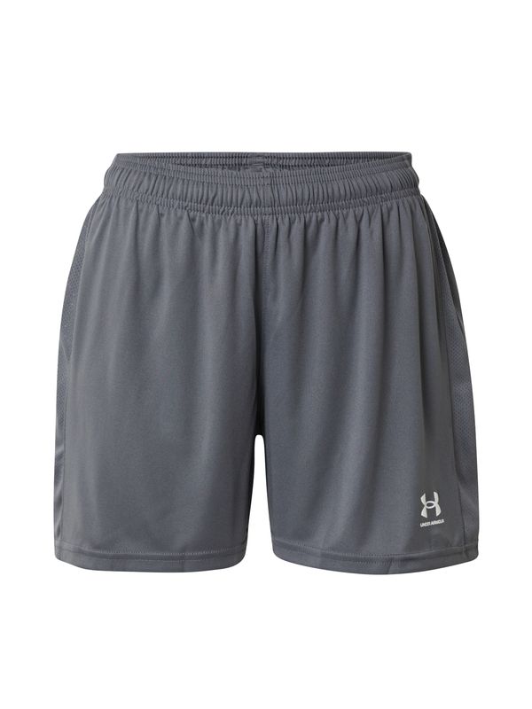 UNDER ARMOUR UNDER ARMOUR Sportske hlače 'Challenger'  siva / bijela