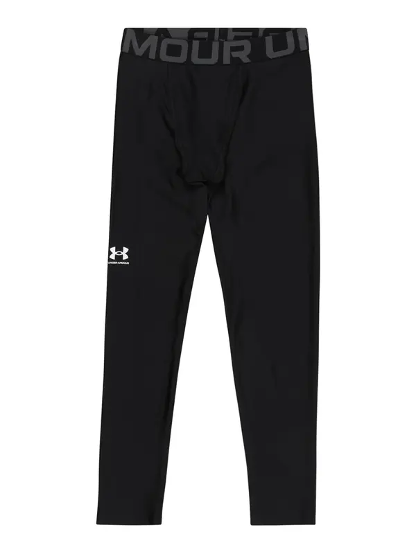 UNDER ARMOUR UNDER ARMOUR Sportske hlače  siva / crna / bijela