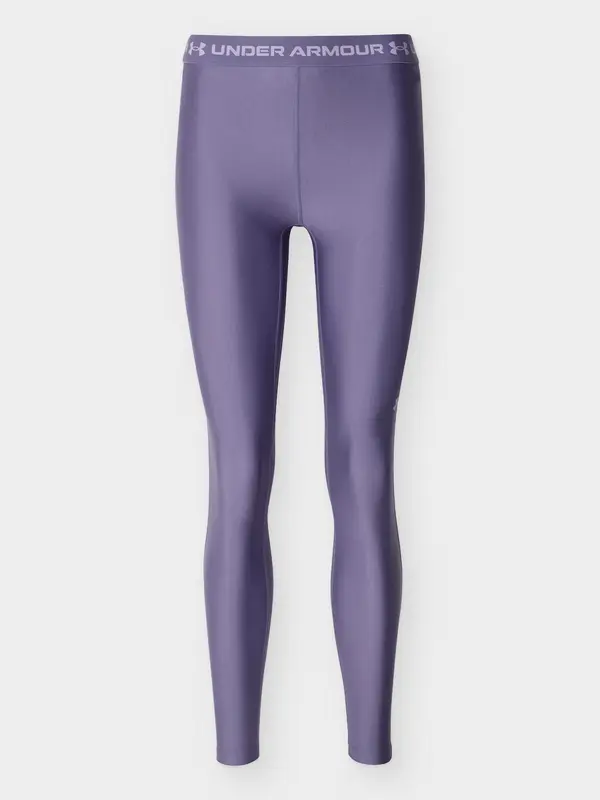 UNDER ARMOUR UNDER ARMOUR Sportske hlače  šljiva