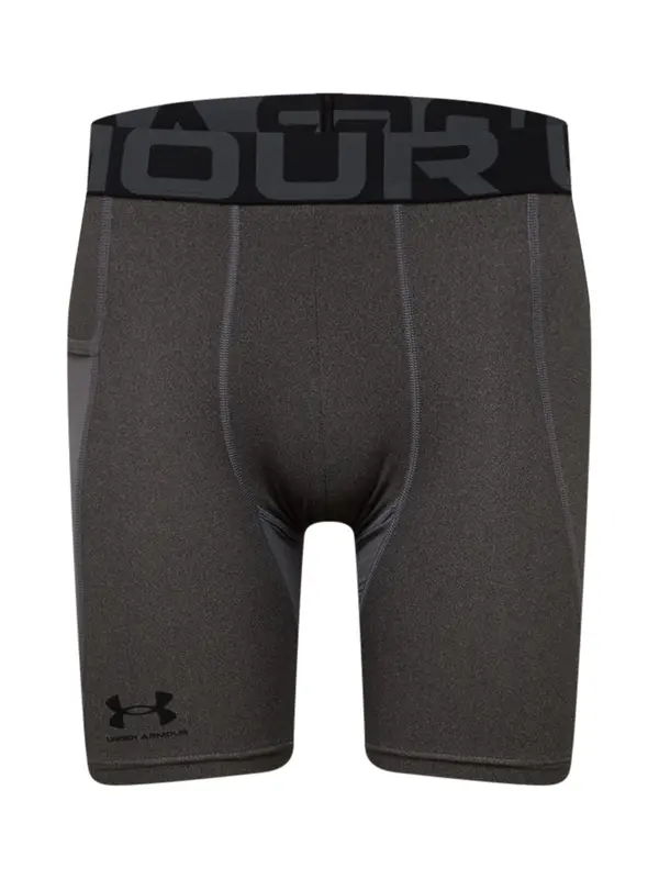 UNDER ARMOUR UNDER ARMOUR Sportske hlače  tamo siva / crna
