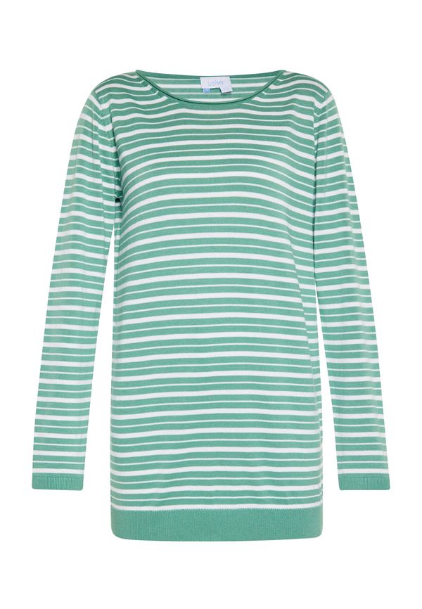 usha BLUE LABEL usha BLUE LABEL Pulover  svijetlozelena / bijela
