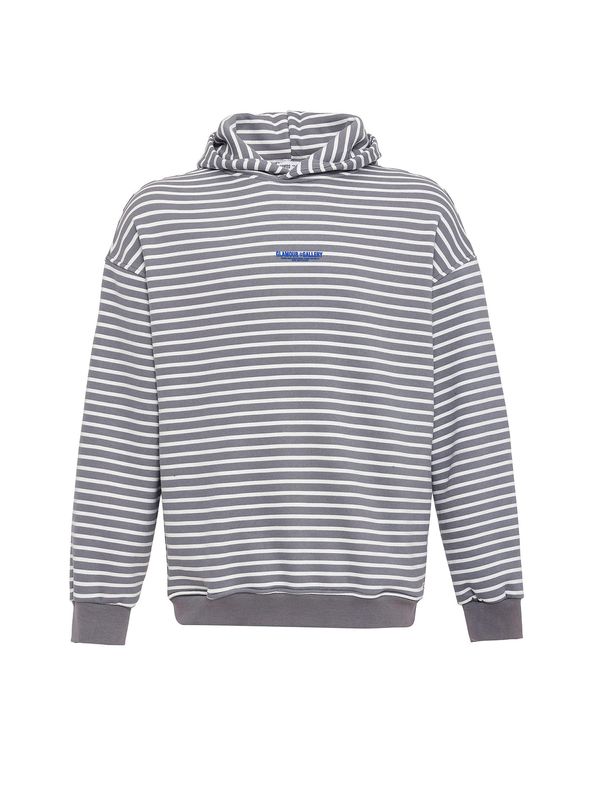 VAMOS CLO VAMOS CLO Sweater majica  plava / siva / bijela