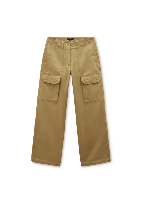 VANS VANS Cargo hlače 'ARROYO'  tamno bež