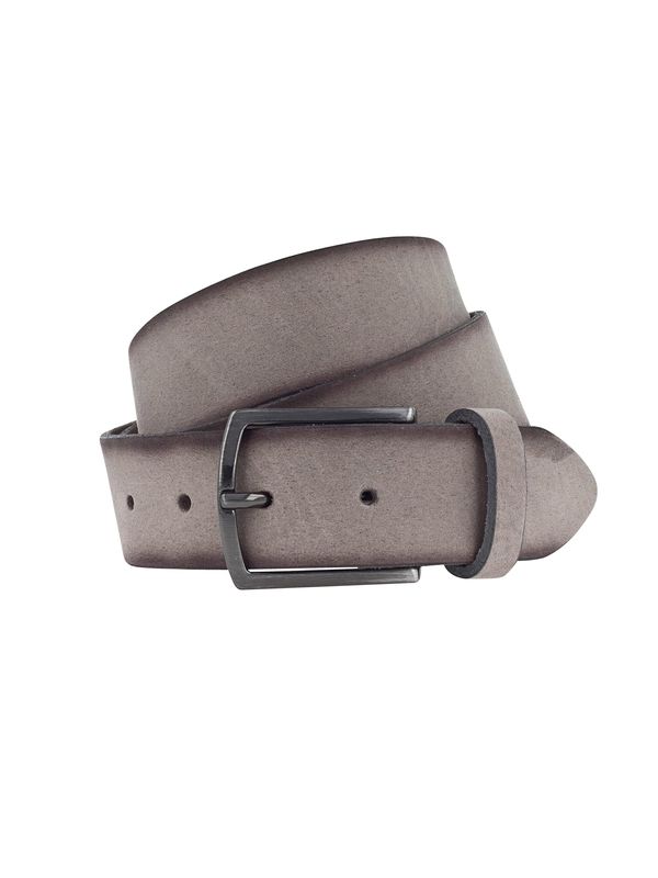 VANZETTI VANZETTI Remen  smeđa / taupe siva / srebro