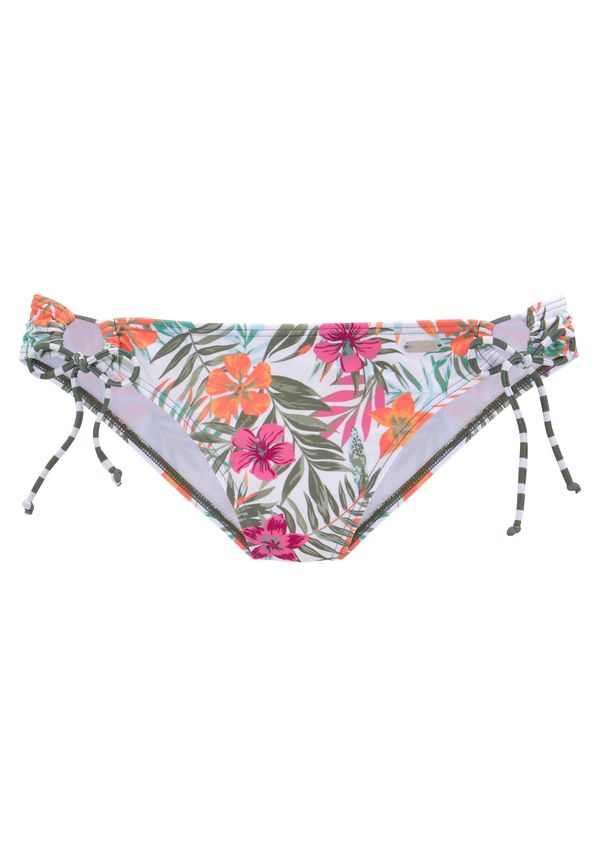 VENICE BEACH VENICE BEACH Bikini donji dio  miks boja