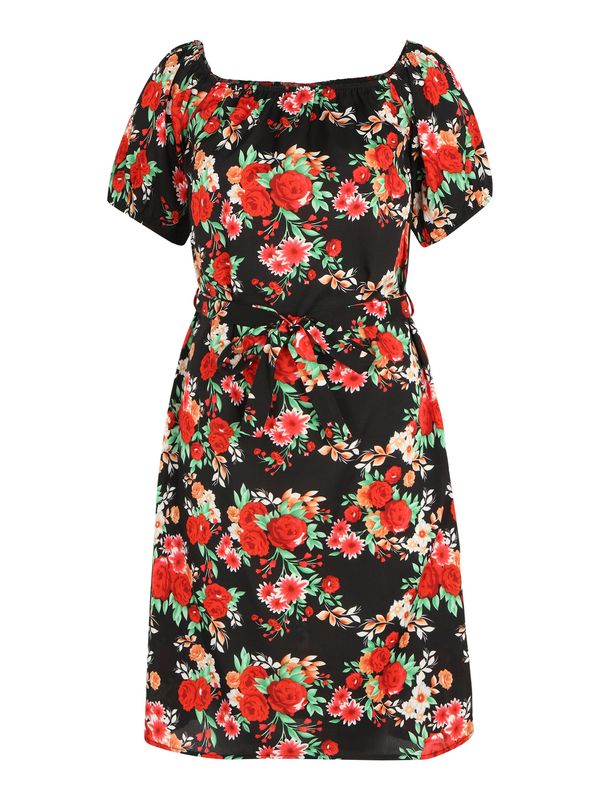 Vila Tall Vila Tall Haljina 'MIE'  zelena / narančasta / crvena / crna