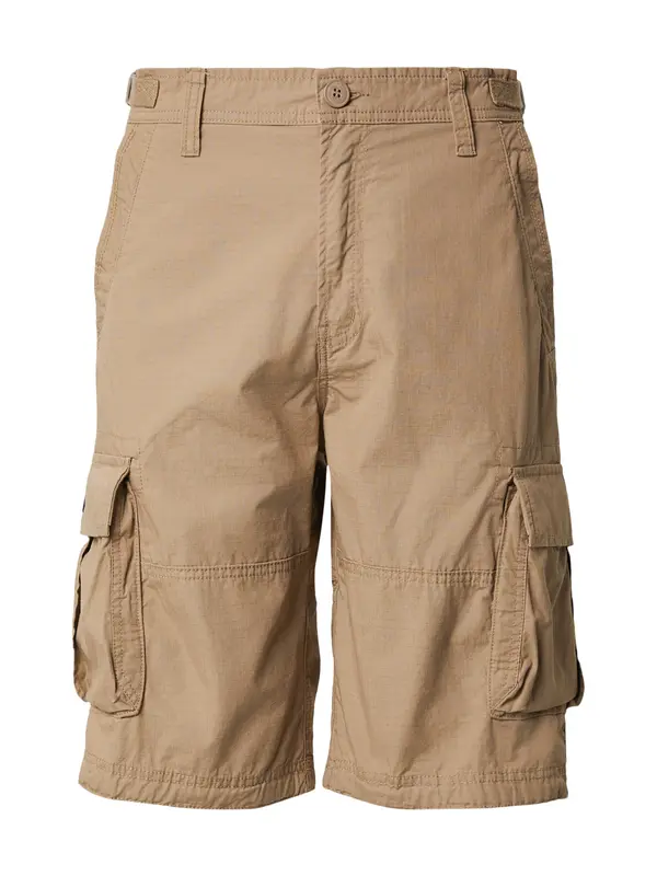 Vintage Industries Vintage Industries Cargo hlače 'Terrance'  kaki