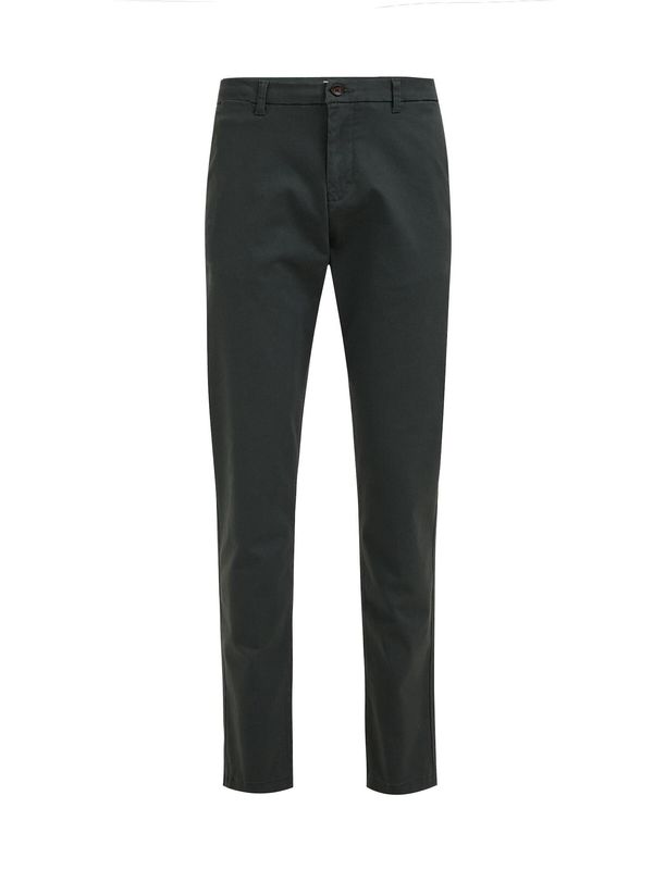 WE Fashion WE Fashion Chino hlače  tamno zelena