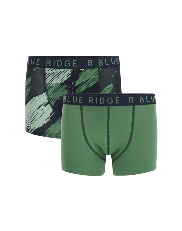 WE Fashion WE Fashion Gaće  maslinasta / kraljevski zelena / svijetlozelena