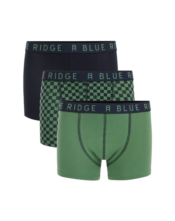 WE Fashion WE Fashion Gaće  morsko plava / svijetlozelena