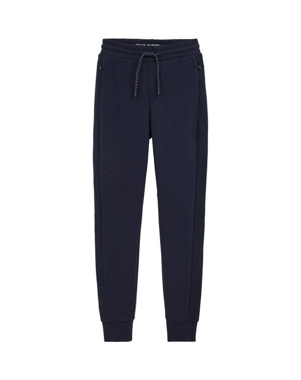 WE Fashion WE Fashion Hlače  mornarsko plava