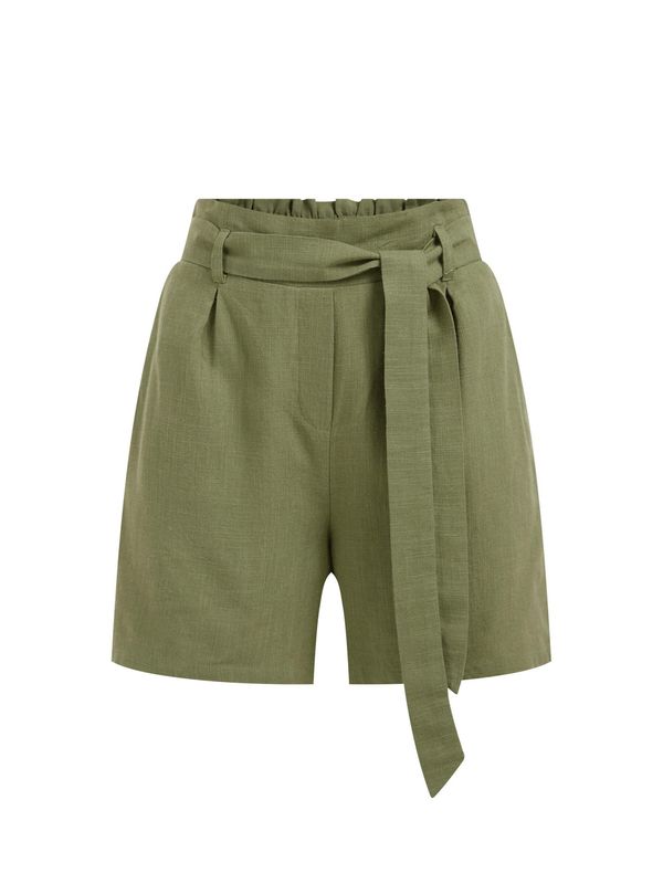 WE Fashion WE Fashion Hlače s naborima  maslinasta