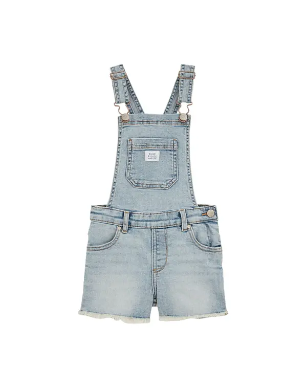 WE Fashion WE Fashion Hlače s tregerima  svijetloplava