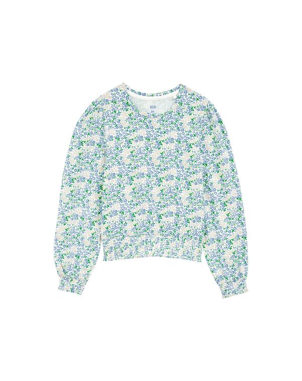 WE Fashion WE Fashion Majica  golublje plava / svijetlosiva / travnato zelena / bijela