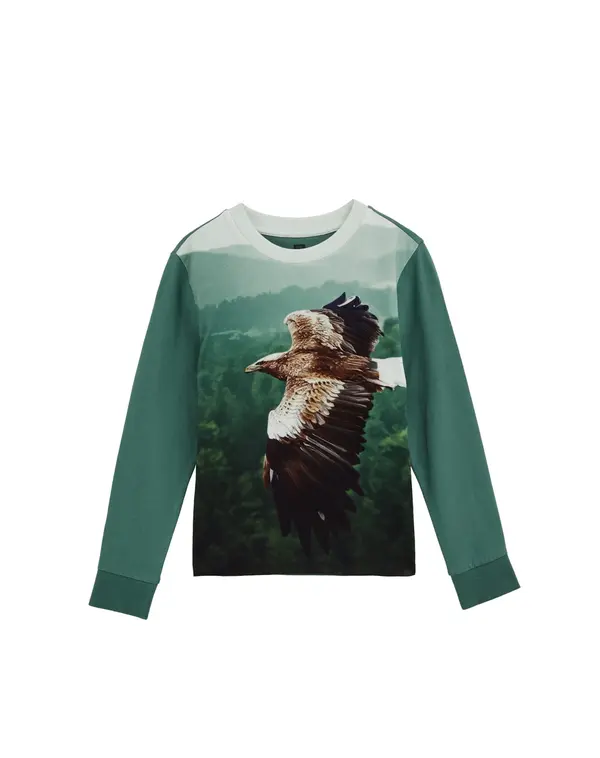 WE Fashion WE Fashion Majica  smeđa / menta / kraljevski zelena / prljavo bijela