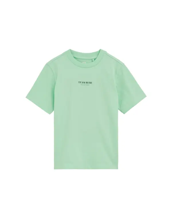 WE Fashion WE Fashion Majica  zelena / svijetlozelena