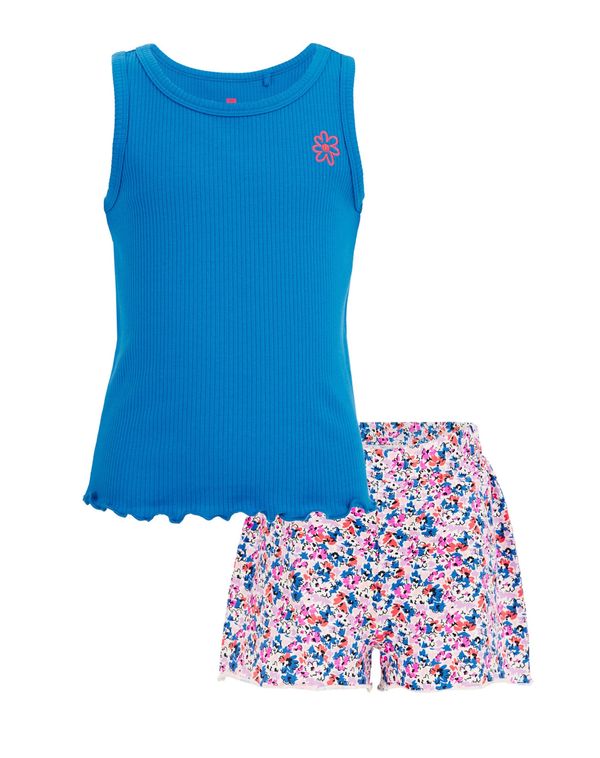 WE Fashion WE Fashion Pidžama set  miks boja